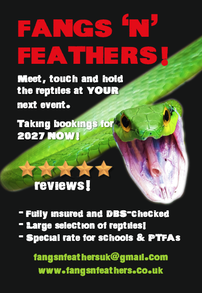 snake